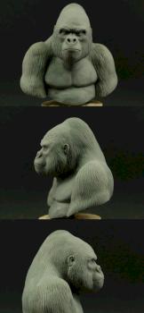 Gorilla 1/10 by DarkSpawn