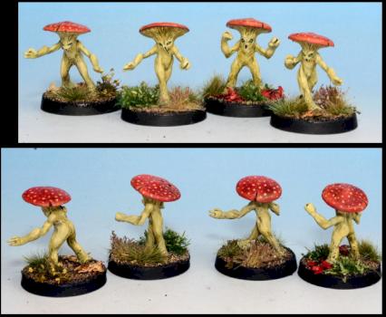 Amanita muscaria by blackfly