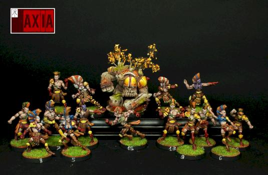 Wood elf blood bowl team painted on commission! by axia