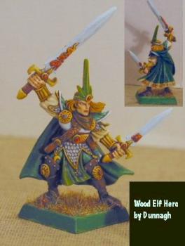 Wood Elf Hero by Dunnagh