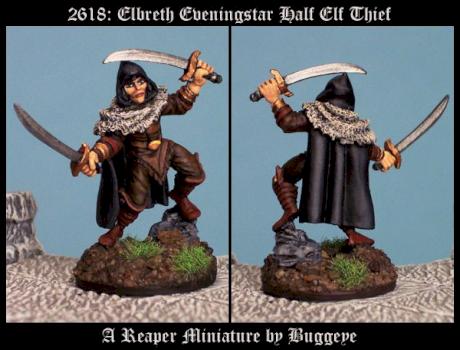 2618: Elbreth Eveningstar Half Elf Thief by Buggeye