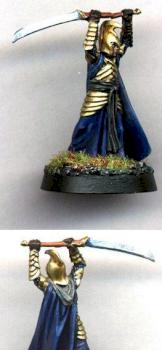 Another LotR High Elven Warrior by Druzil