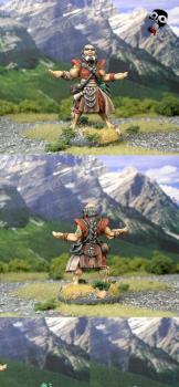 Painted 28mm Reaper Strohm Earth Sorcerer Monk by revolutionary