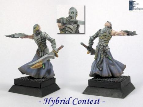 Hybrid Contest by minivince