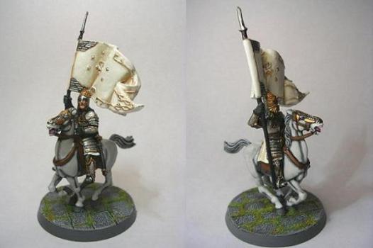 Knight Of Minas Tirith Standard Bearer by darklord