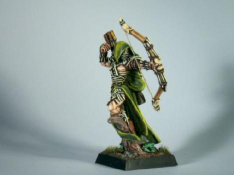 New Wood Elf Waywatcher Lord 1 by krom1415