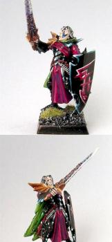 Dark Elf General by heroesgames