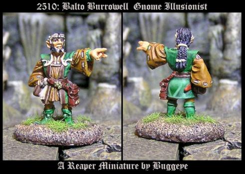 2510: Balto-Burrowell  Gnome Illusionist by Buggeye