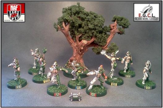 Gisereaux Glade-Guardians Blood Bowl Wood Elves by Lou Rollins