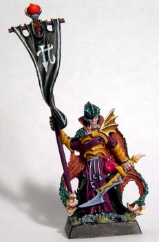 Dark Elf Corsair Standard bearer - front view by KatieG