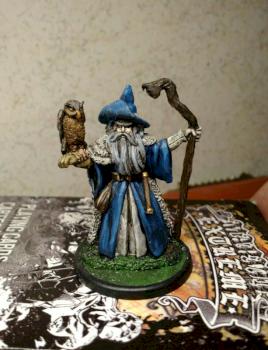 Wizard with Owl by PlasticSurgen88