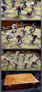 Dark Elf Blood Bowl Team by Painted By-g