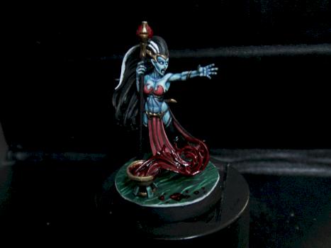 Dark Elf  Sorceress by dan reeves