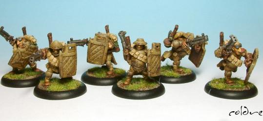 HammerfallHighShieldGunCorps Unit by coldren