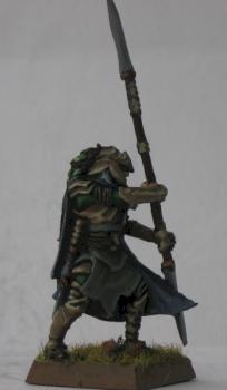 Wood Elves Eternal guard by MugeN