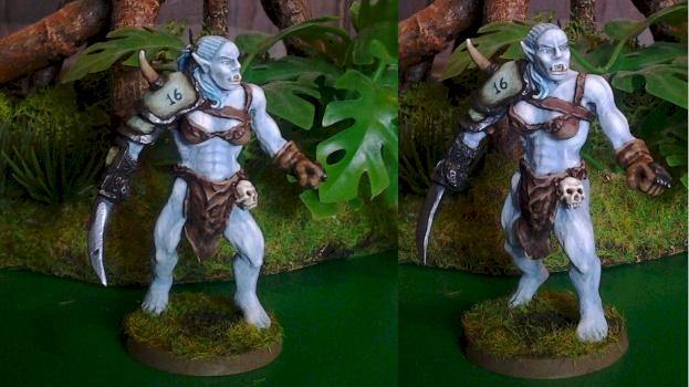 Female Ogre / Snow Troll by chaos spawn