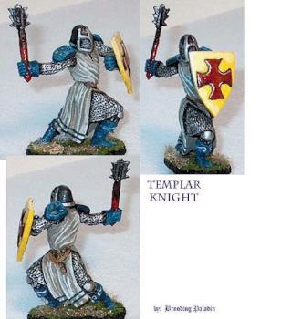 Templar Knight by Brooding Paladin