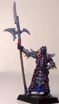 Dark Elf painted as Drow by figurephenatix