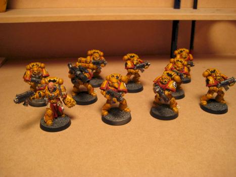 Imperial Fists Tactical squad 2 by pacmanman