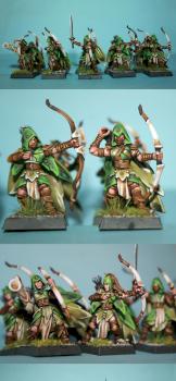 wood elf  glade guard by dtona