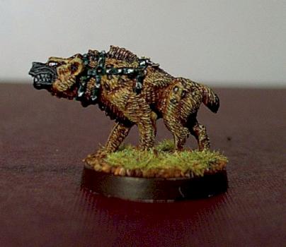 Naresh (Chainmail) Hyena by fastball24