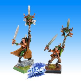 WOOD ELF STANDARD BEARERS by PASfriends