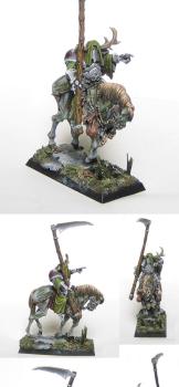 Nurgle Lord by Mordred