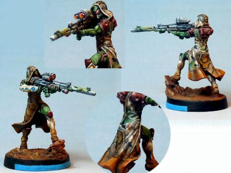 Lasiq sniper (new pics) by Alliance sylvestre