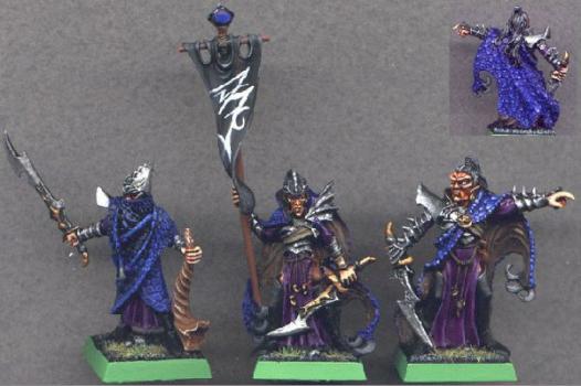 Dark Elf Corsairs Command by Aschul