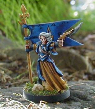 Chainmail Gray Elf Noble by Wedgy