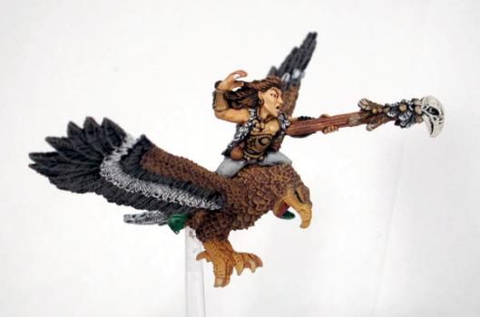 Wood Elf Mage on Warhawk by nvstudios