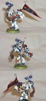 White Scar Veteran Assault Sergeant by dmancrock