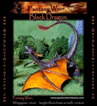 Black Dragon by Gary Hunt Miniatures