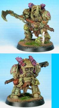 Typhus by kickboxer