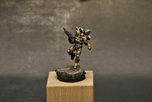 Tiger soldier by PintorDeMiniaturas