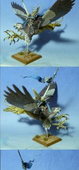 High elves prince on griffon by axia