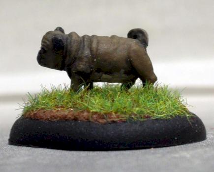 Pug by Sand Rat