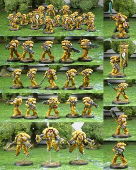 Imperial Fists Army by Rilian