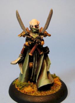 Privateer Press Retribution Of Scyrah: Narn Magehunter Solo by Shoshie