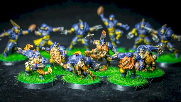 The Middenheim Maulers – Old World Alliance Blood Bowl Team by Ponycat miniatures