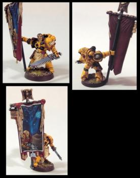 Imperial Fists Standartbearer by TarAldarion