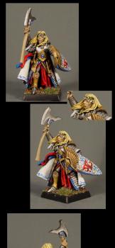 High Elf Hero by blue moon miniatures by bluemoonminiatures