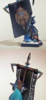 Dark elf battle standard bearer by marwin