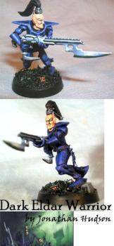 Dark Eldar Warrior by volsung