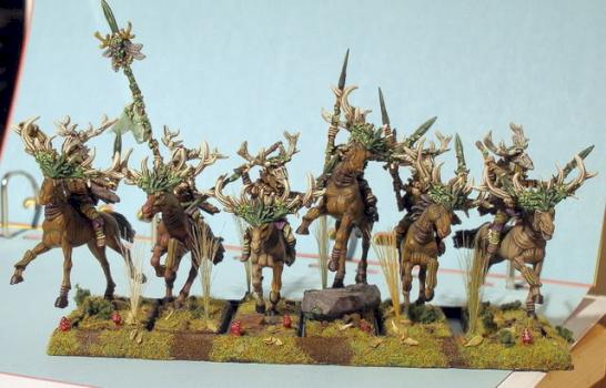 Wood Elf Wild Riders by pippin