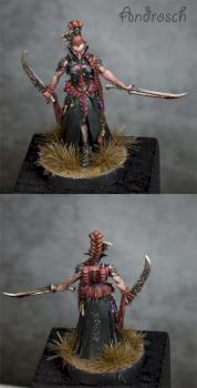 Dark Eldar Lhamaean by Androsch