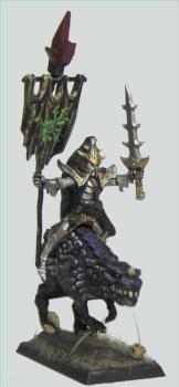 Dark Elf custom BSB on cold one by hakoMike