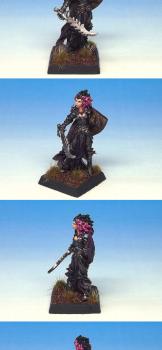 Evshyvandra Duskwidow, Reaper Miniatures by ja_matheo