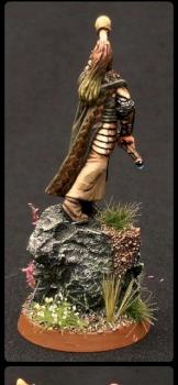 Elf Hornblower conversion by Dead Marsh Spectre