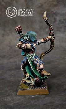 Wood Elves Waywatcher Lord by Awaken Realms